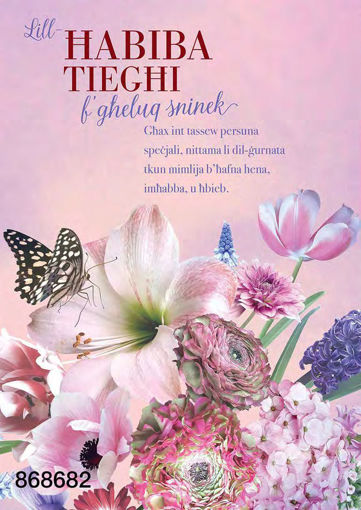 Picture of LILL-HABIBA TIEGHI FGHELUQ SNINEK